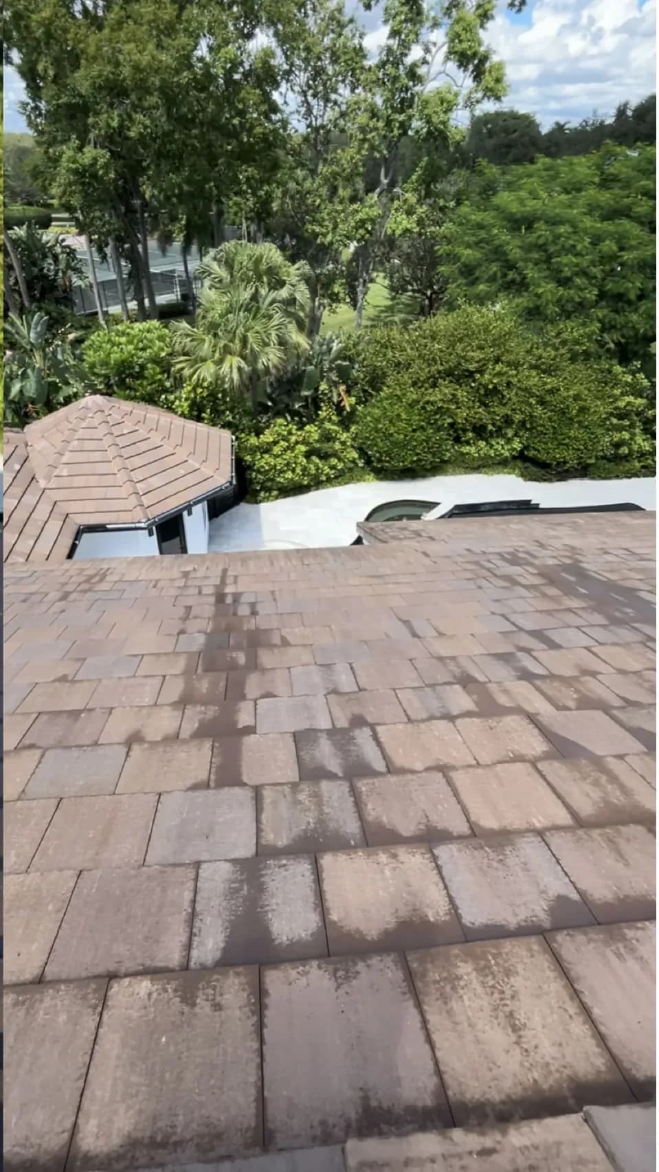 Shingle roof with black algae streaks, after