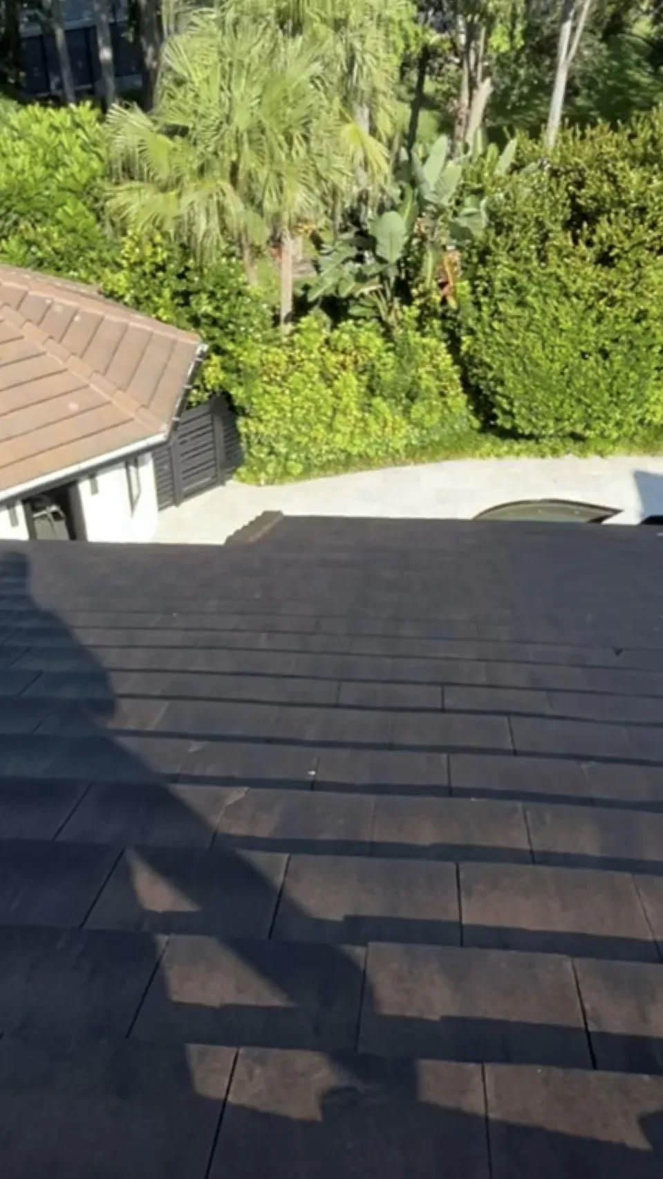 Shingle roof with black algae streaks, before