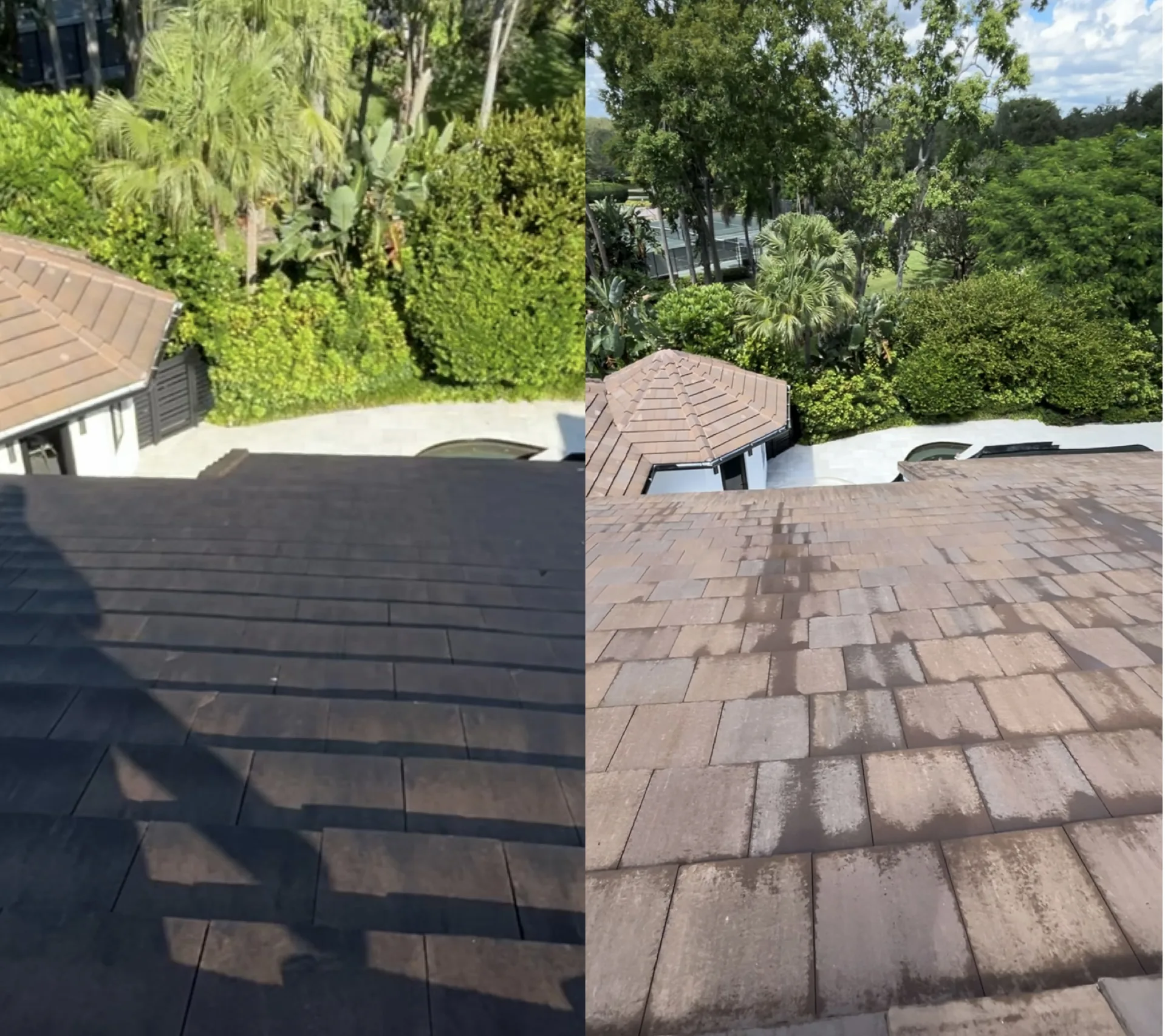 Roof half cleaned, showing the before and after line