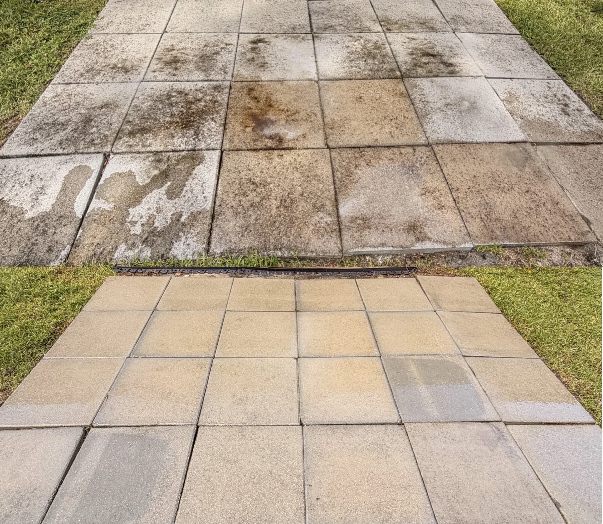 Paver walkway before and after cleaning, black with algae on one side