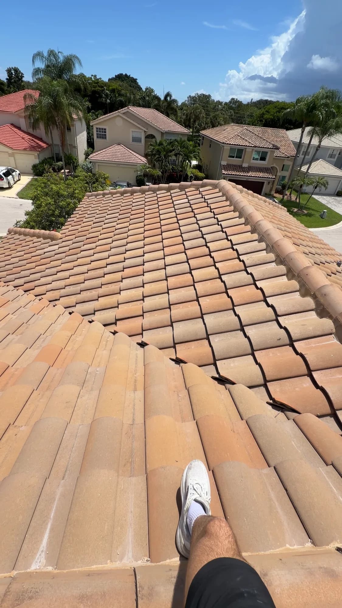 Barrel tile roof seen from the ridge