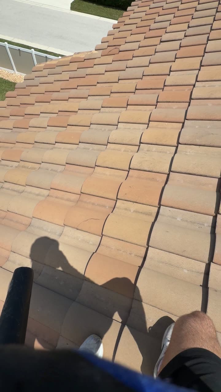Barrel tile roof from above